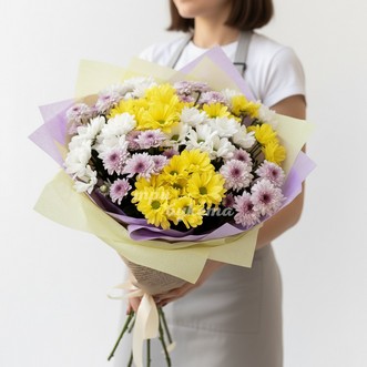 Желтые и белые хризантемы