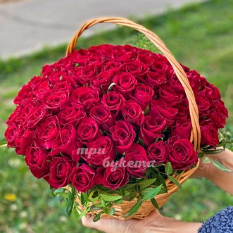 101 красная роза в корзине