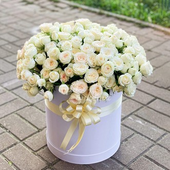 31 кустовая роза в коробке