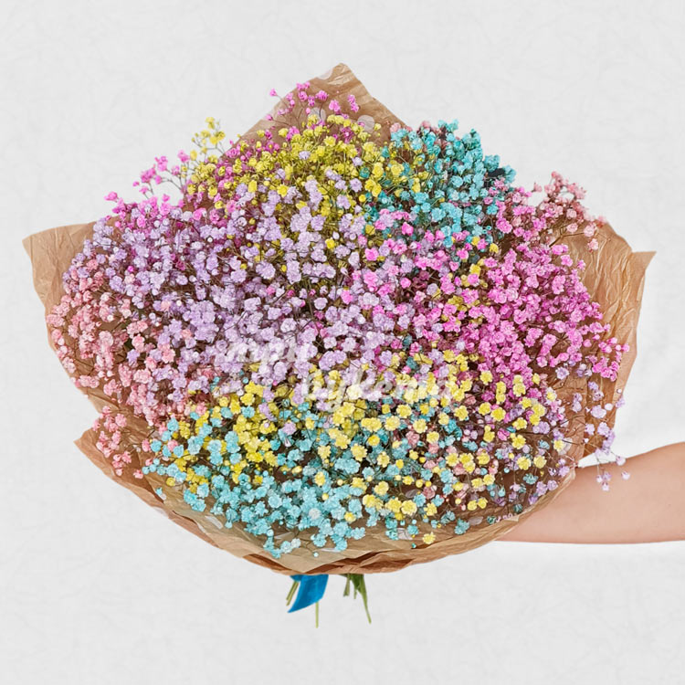 Букет из 13 веток цветных гипсофил