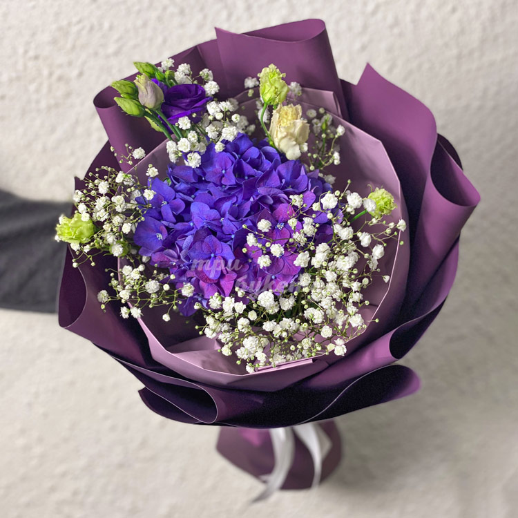 Букет из фиолетовых гортензий с гипсофилой (на фоне стены)