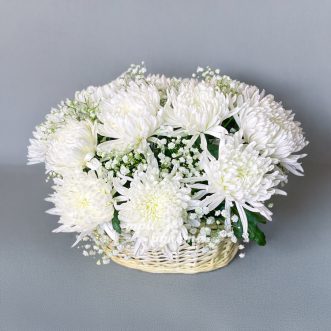 Корзина белых хризантем с гипсофилой